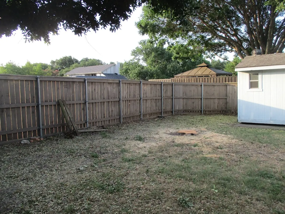 Cleared yard after professional tree removal in East Syracuse